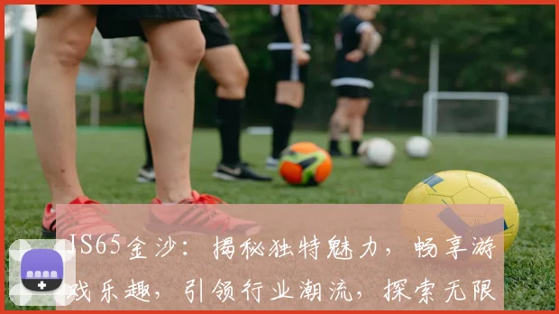 JS65金沙：揭秘独特魅力，畅享游戏乐趣，引领行业潮流，探索无限可能