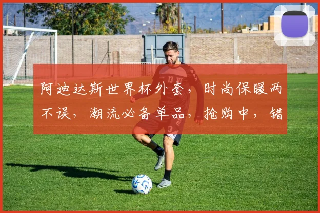 阿迪达斯世界杯外套，时尚保暖两不误，潮流必备单品，抢购中，错过等一年